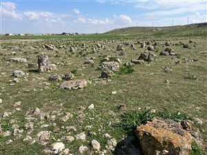 Bölümümüz Öğretim Üyelerinden Eskil İlçesine Akademik İnceleme Ziyareti